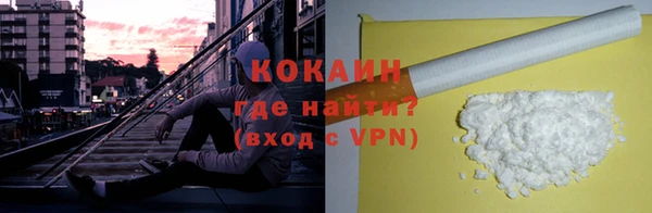 соль ск Абаза