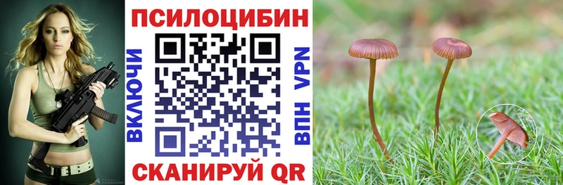 МЕГА вход  Химки  Галлюциногенные грибы Magic Shrooms 
